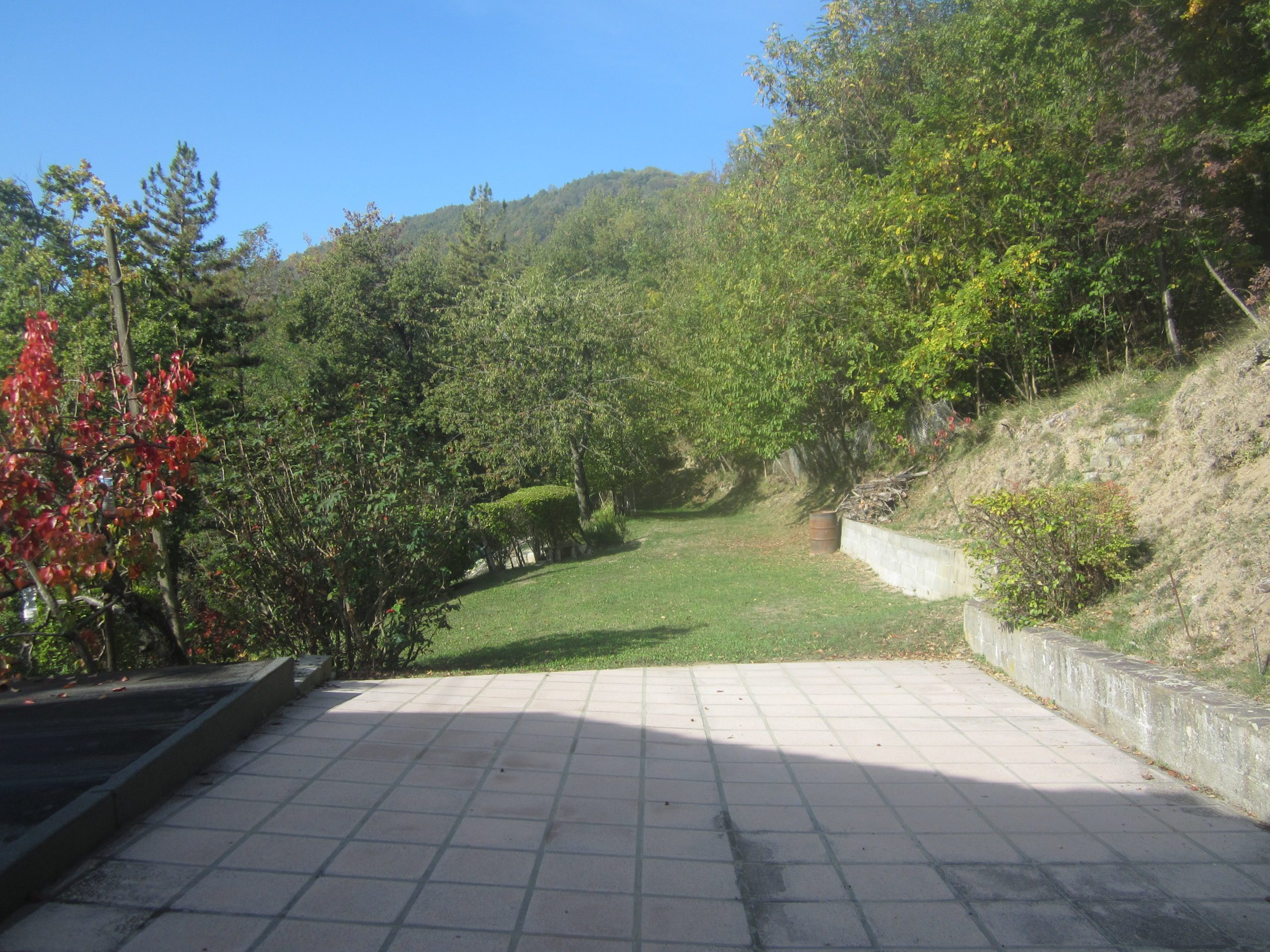 gallery-image