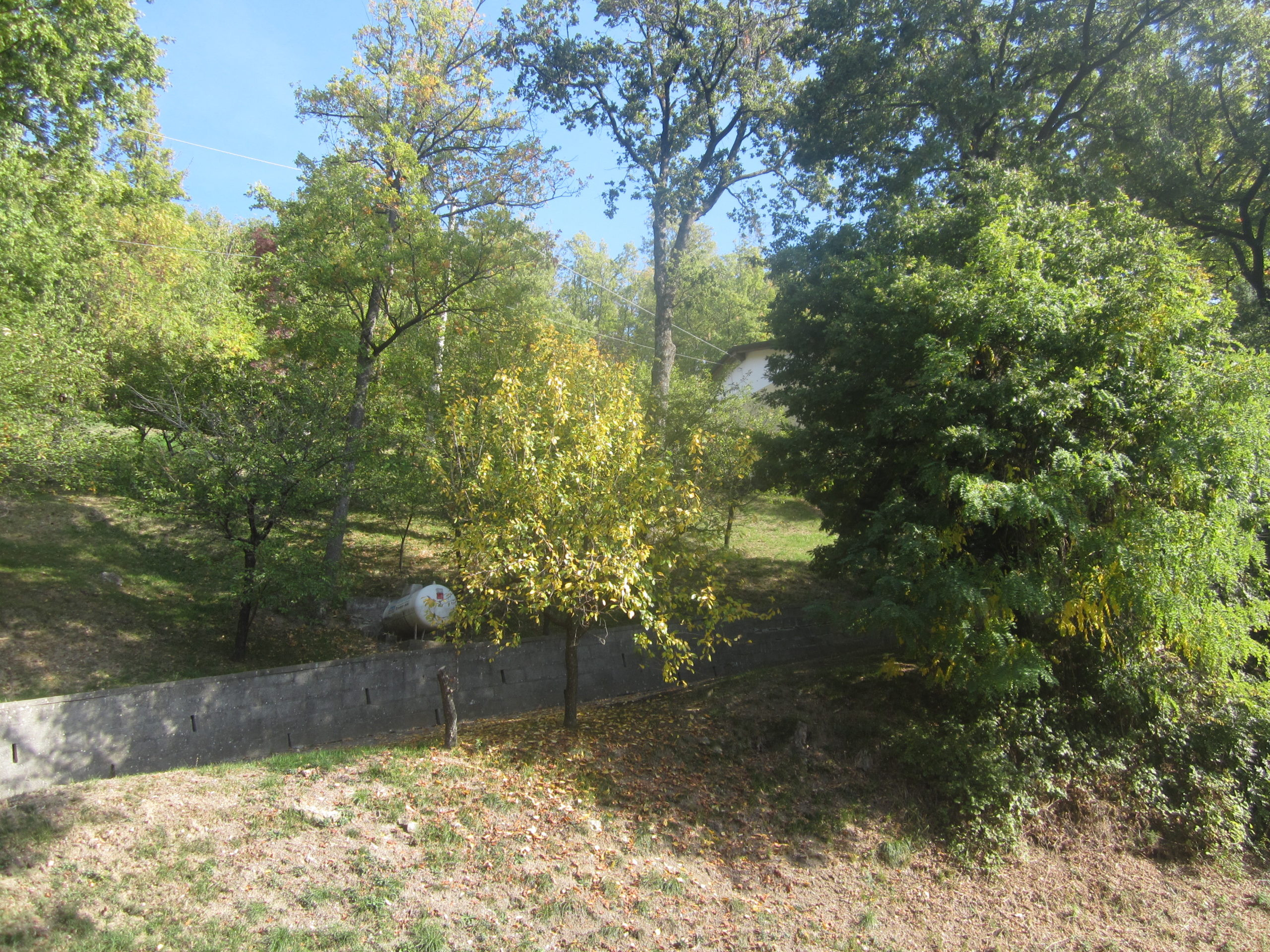 gallery-image