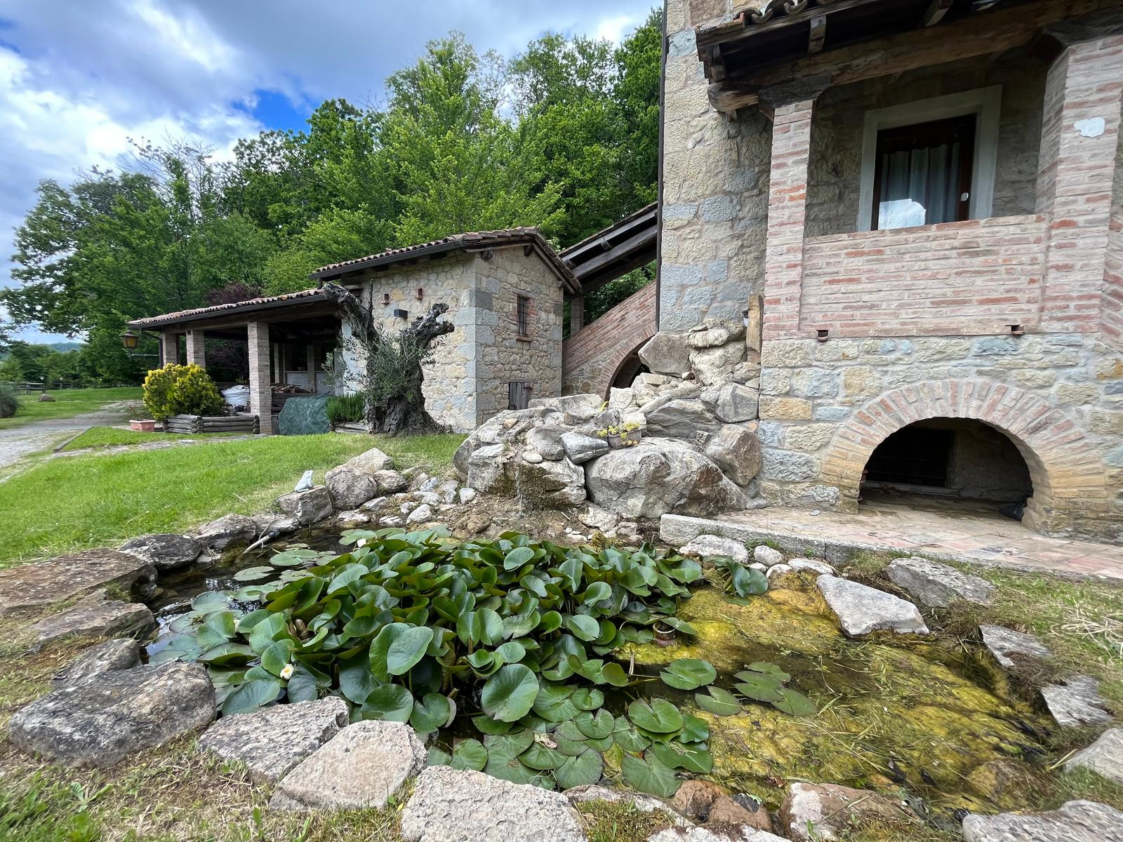 gallery-image