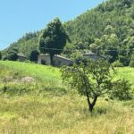 gallery gallery-image