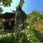 gallery gallery-image
