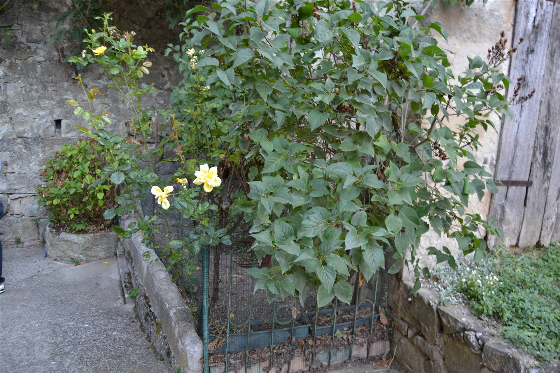 gallery gallery-image