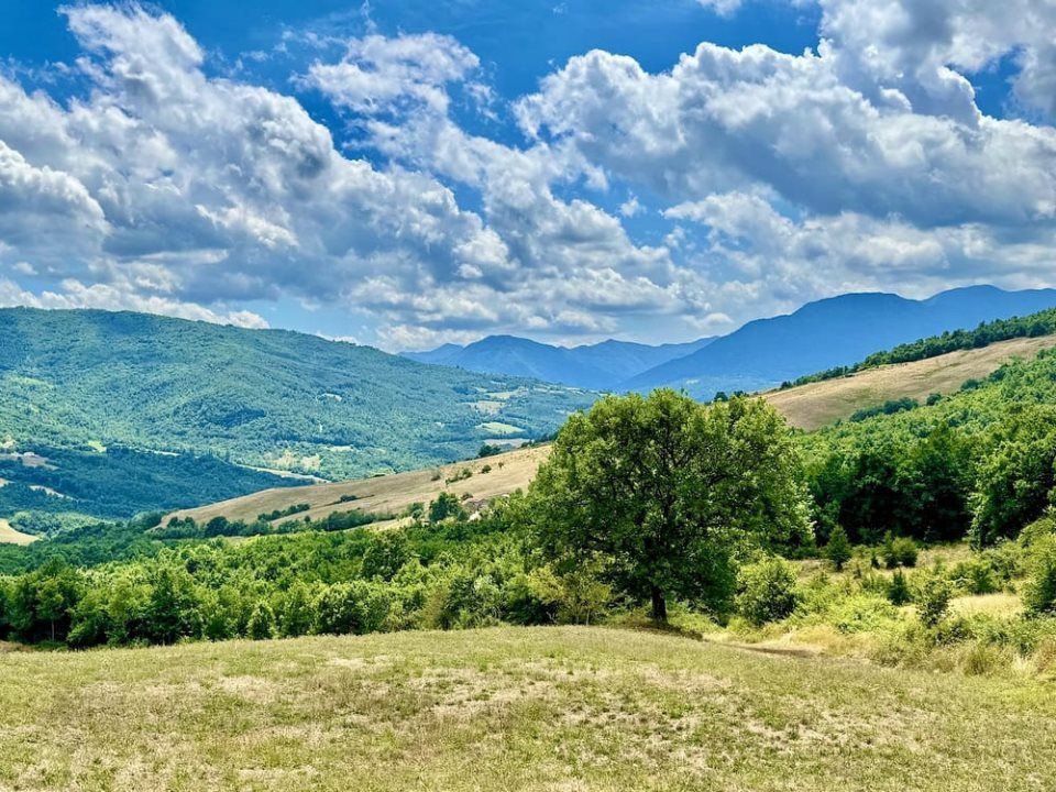 gallery gallery-image