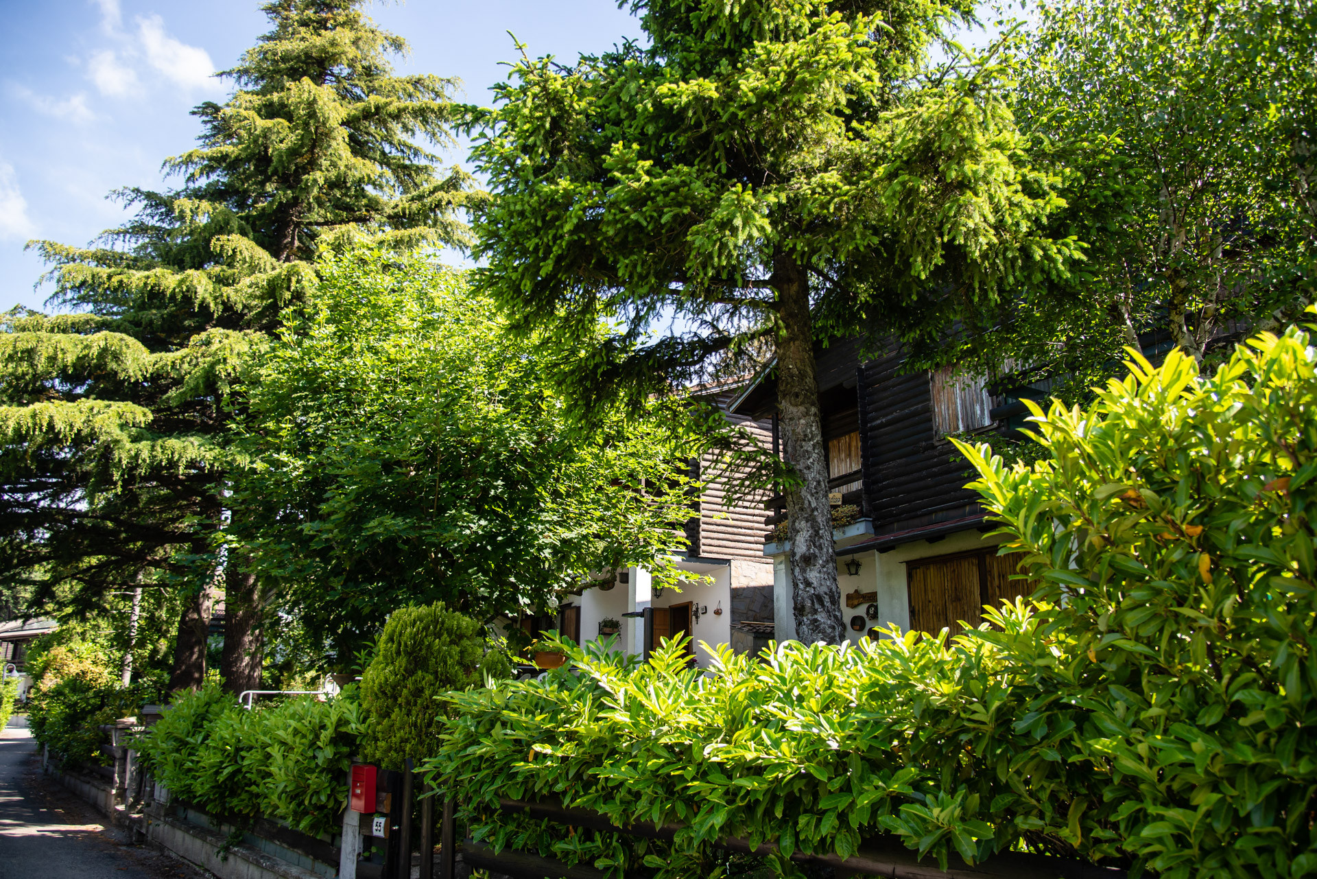 gallery-image