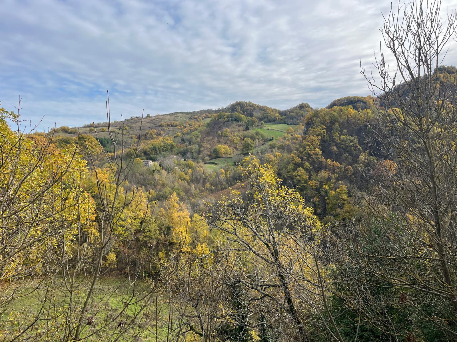 gallery-image