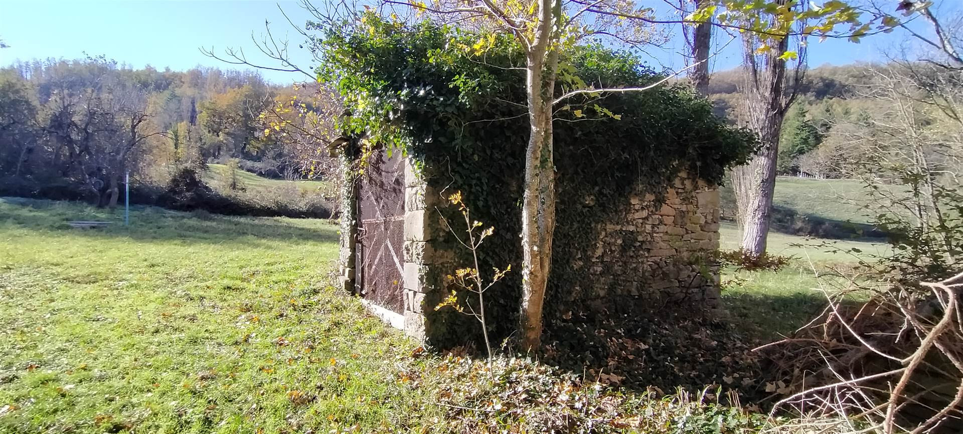 gallery-image