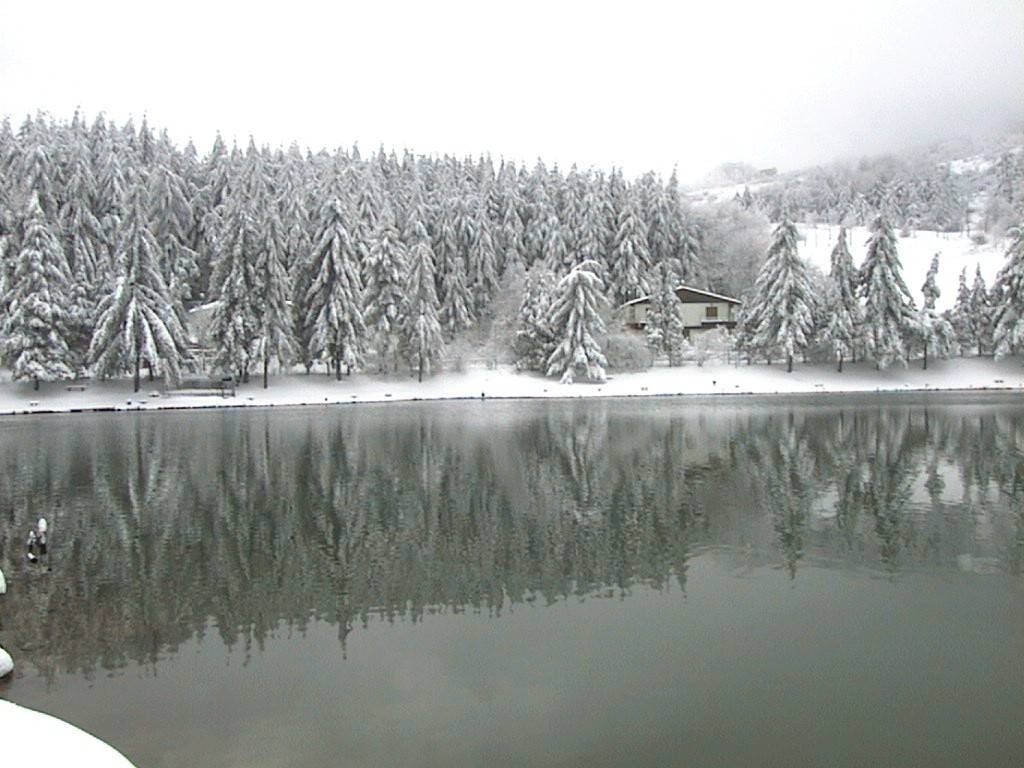 gallery gallery-image