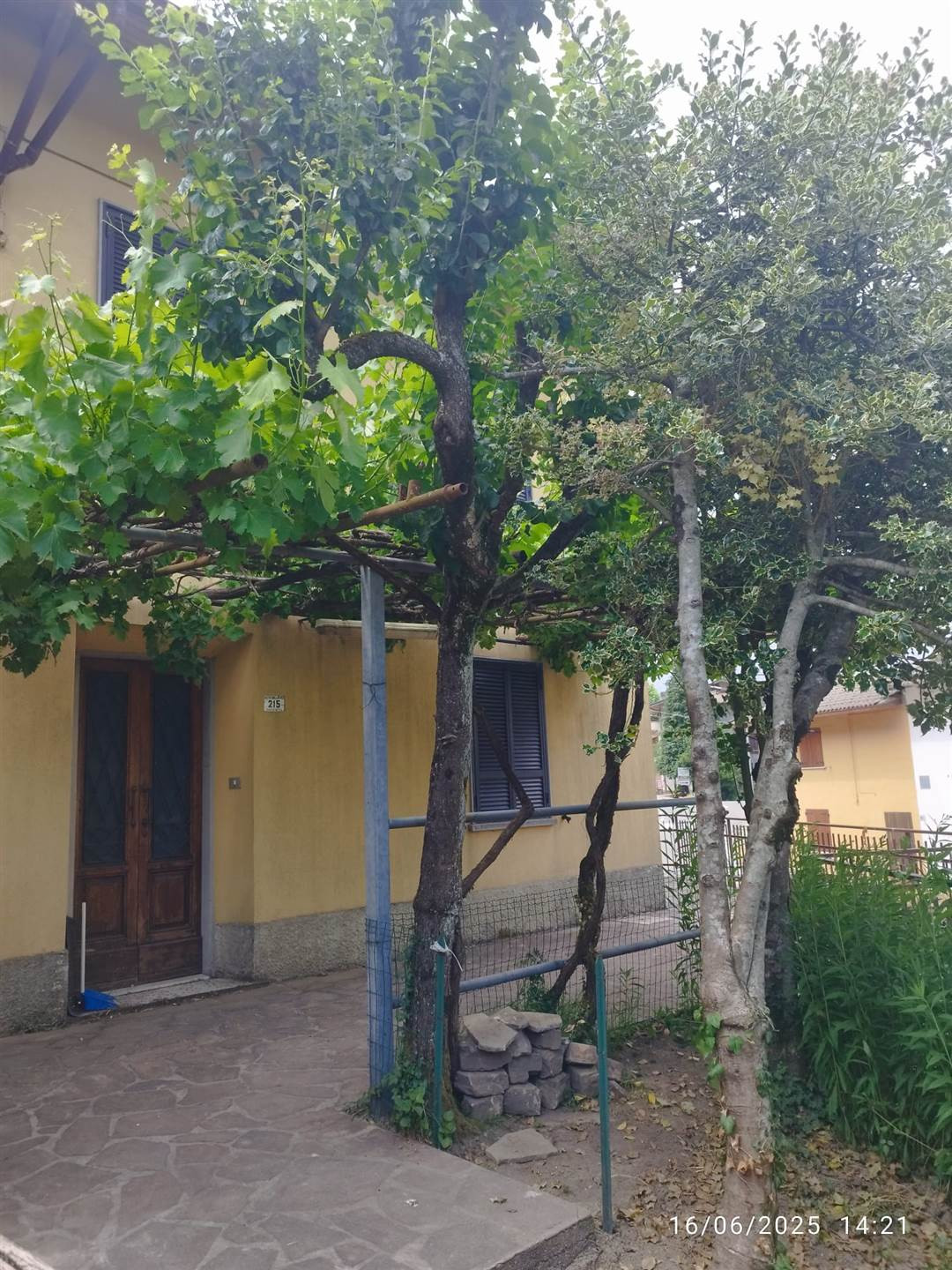 gallery-image
