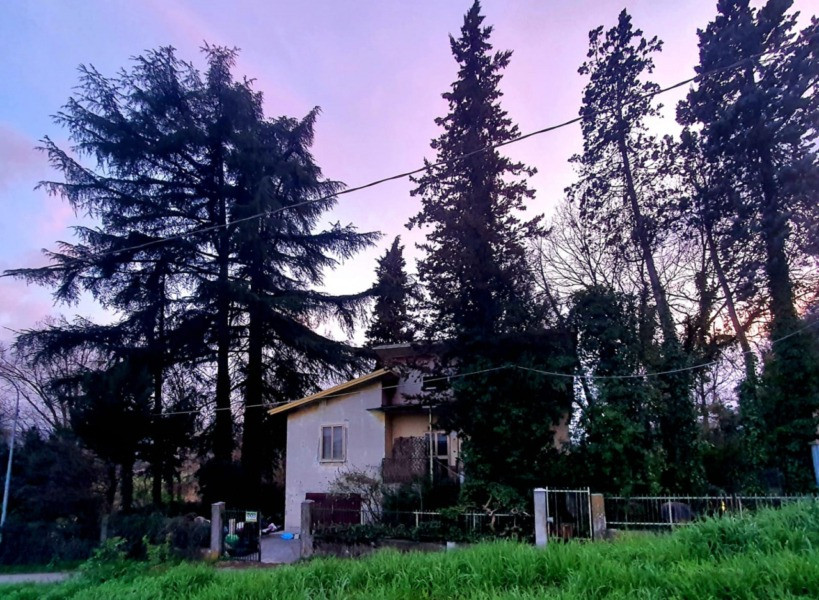 gallery gallery-image