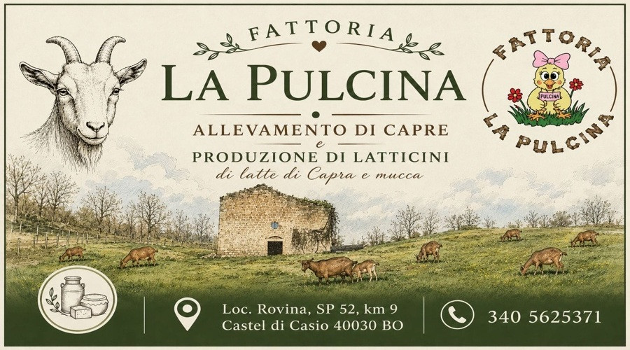 Fattoria la Pulcina
